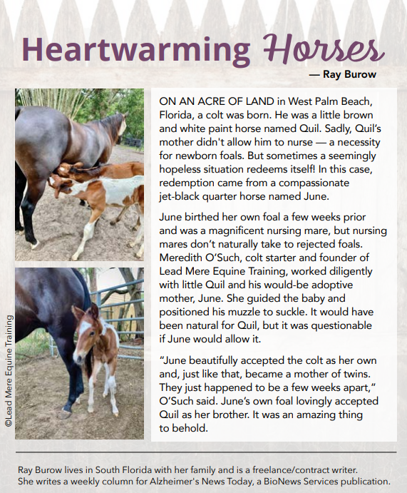 SINGLE ISSUE: VOLUME 9: PAINT AND PRAIRIE