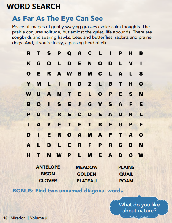 SINGLE ISSUE: VOLUME 9: PAINT AND PRAIRIE