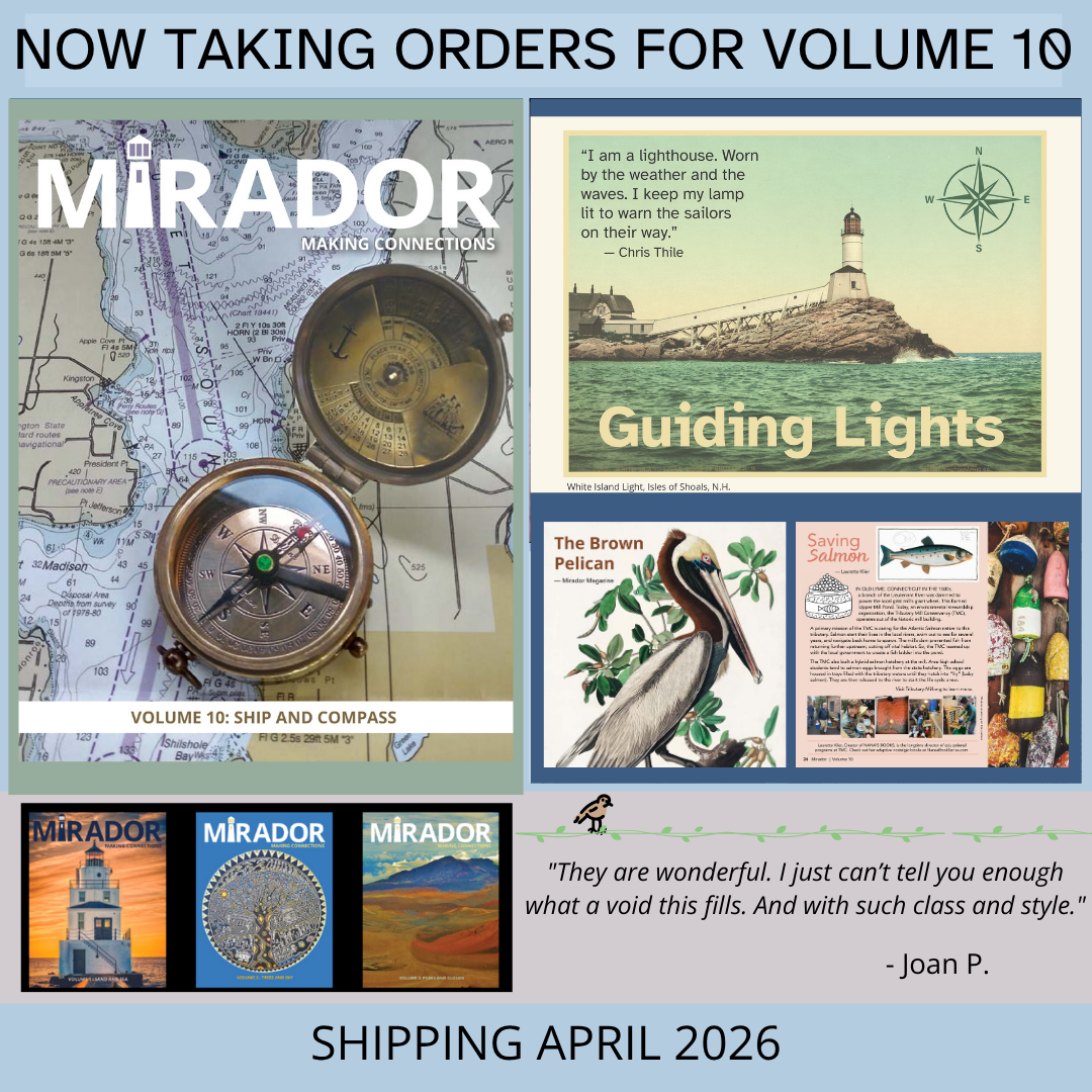 SINGLE ISSUE: VOLUME 10: SHIP AND COMPASS