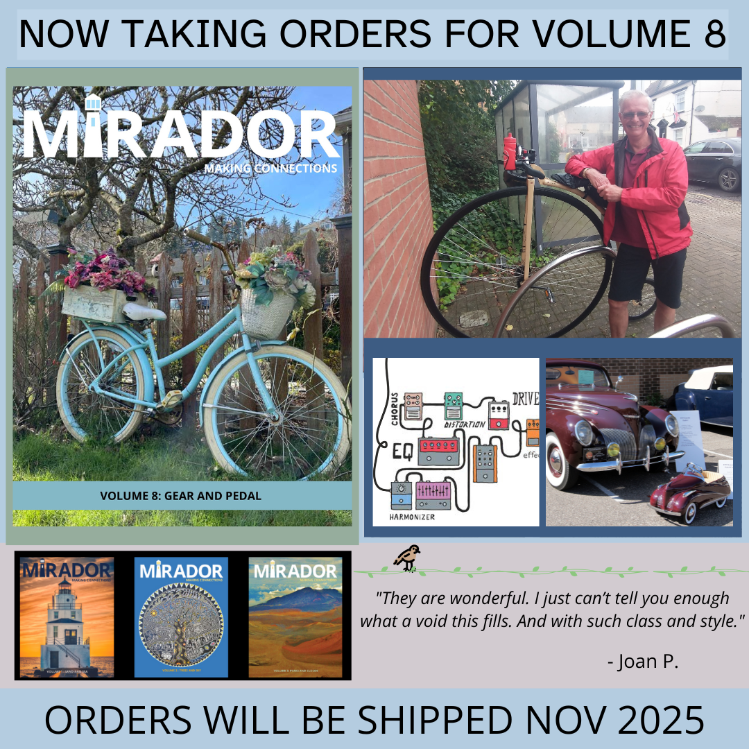 SINGLE ISSUE: VOLUME 8: GEAR AND PEDAL