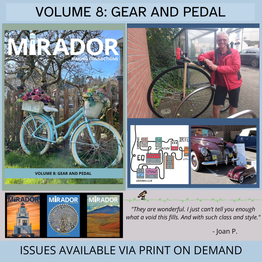 SINGLE ISSUE: VOLUME 8: GEAR AND PEDAL