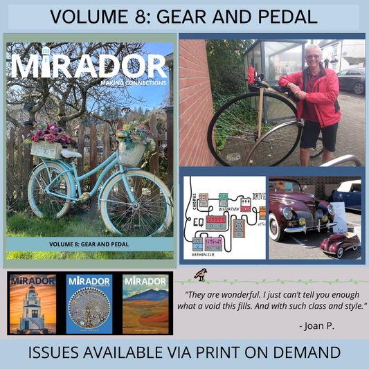 SINGLE ISSUE: VOLUME 8: GEAR AND PEDAL